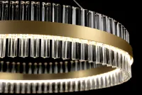 Moderne Hängeleuchte L-OE-CIR-02