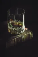 Whiskeygläser Set 2 St. PAS45923014390